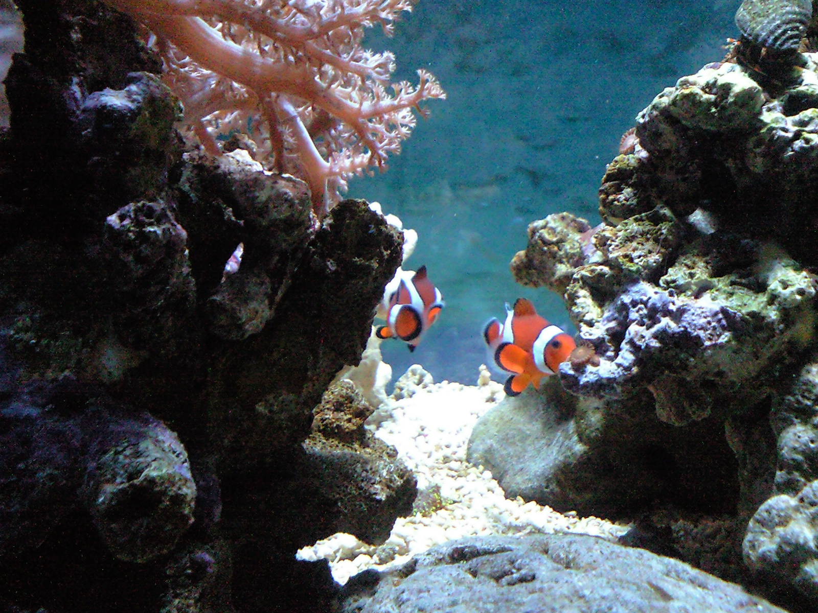 e0139318_14173114.jpg