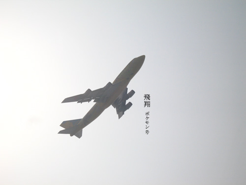 b0007619_0352735.jpg