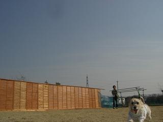 a0089120_22534376.jpg