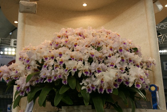 e0128322_3387.jpg