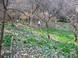 f0147025_7412352.jpg