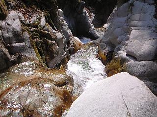 b0000829_20283034.jpg