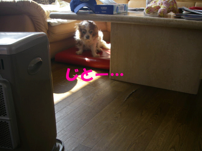 c0136838_1957438.gif
