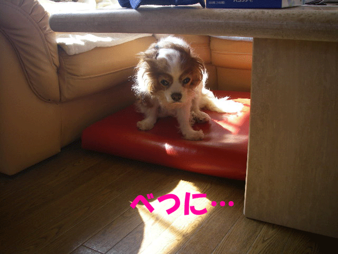 c0136838_2051356.gif