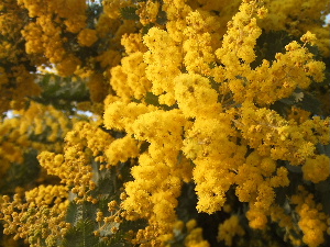 a0054240_20163293.jpg