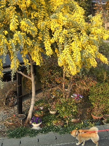 a0054240_2037468.jpg
