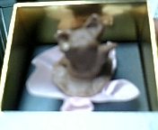 c0150440_084514.jpg