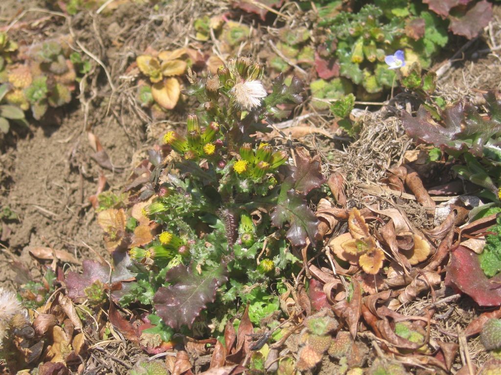 f0151044_659044.jpg