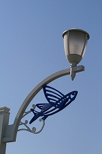 a0098859_0335298.jpg