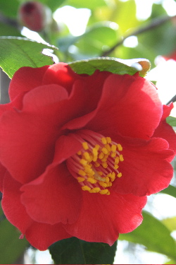 e0016164_2248120.jpg