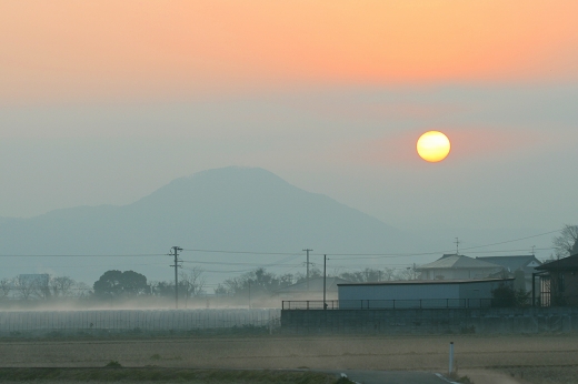 d0102968_93362.jpg