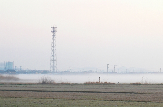 d0102968_9341479.jpg
