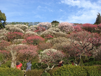 e0110868_11481735.jpg