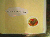 d0095278_17283161.jpg