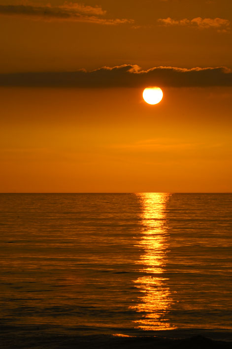 f0112087_1516442.jpg