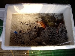 c0033992_14332083.jpg