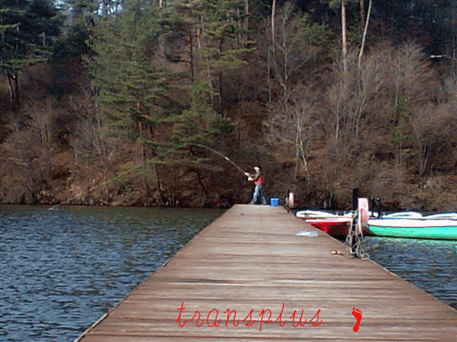 b0031493_685257.gif