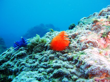 e0023100_0401251.jpg