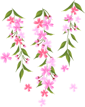 b0000924_222259.gif