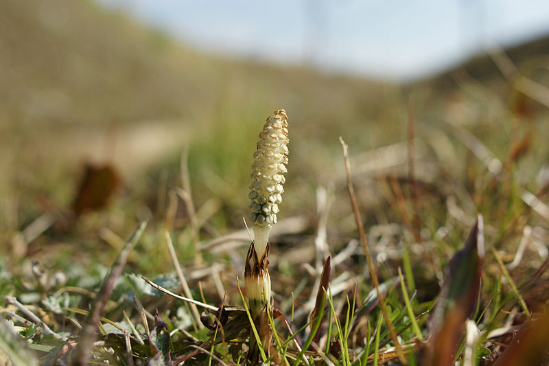 d0089024_14242571.jpg