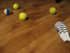 b0006329_16344168.jpg