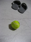 b0006329_16371921.jpg