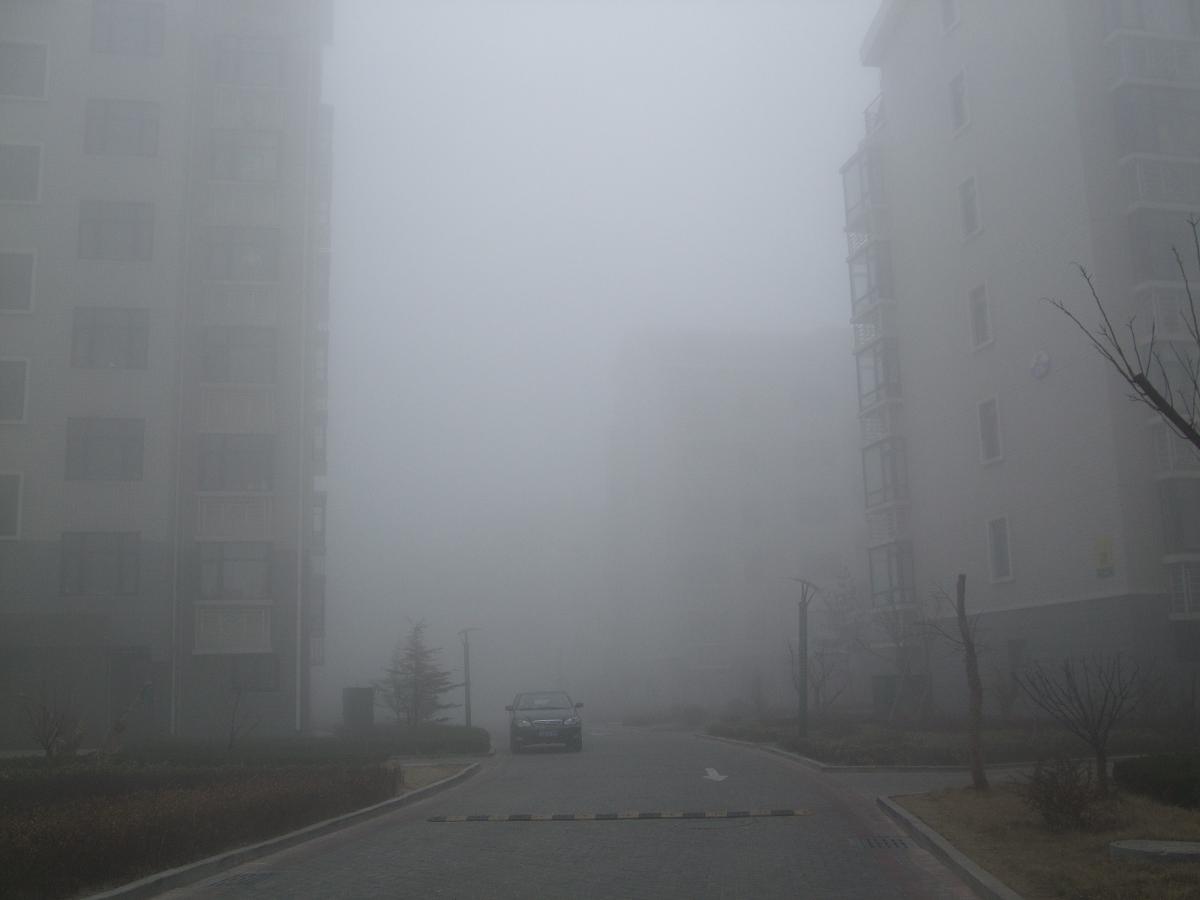 f0139029_134112.jpg