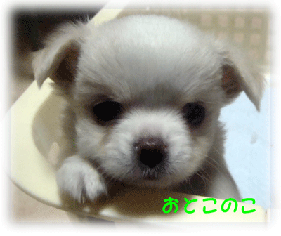b0078030_23433868.gif