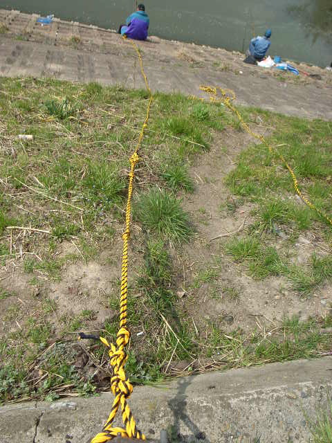 d0105133_21205938.jpg