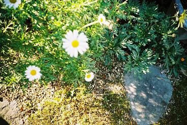 a0031338_16451591.jpg