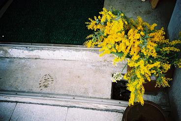 a0031338_164531.jpg