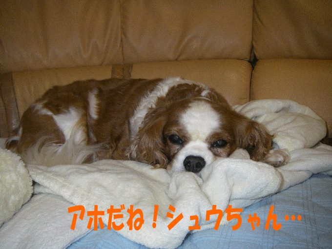 c0136838_212218.gif