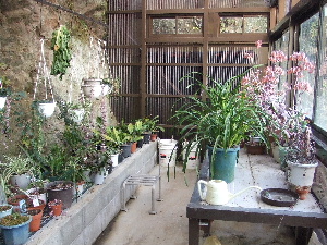 a0054240_21214336.jpg