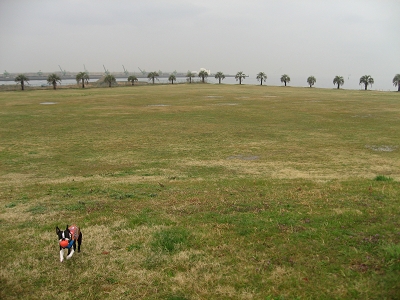 e0126046_2156441.jpg