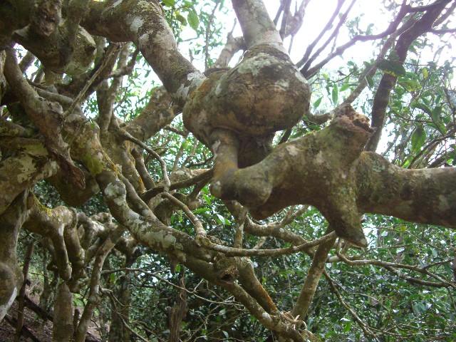 f0072846_056395.jpg
