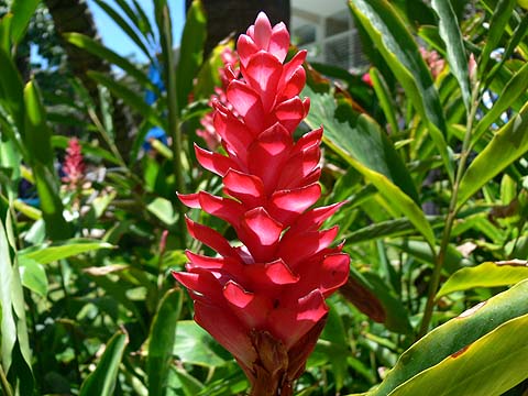 e0050753_2131969.jpg