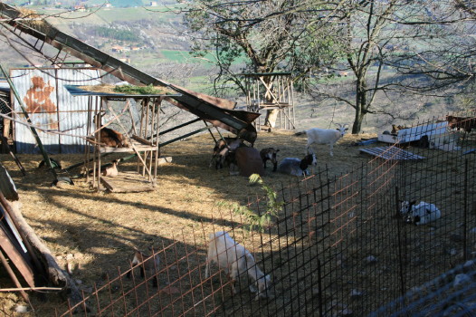 f0077159_646522.jpg