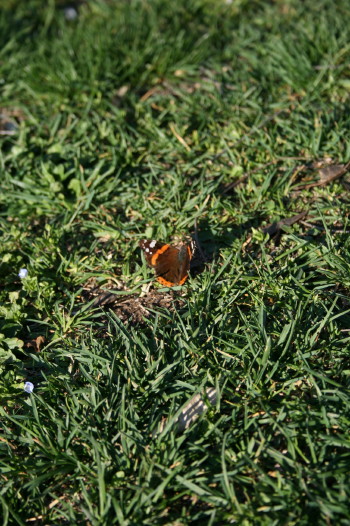 f0077159_6541689.jpg