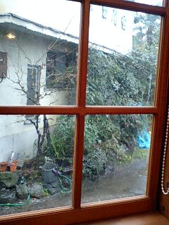 f0050468_2035266.jpg