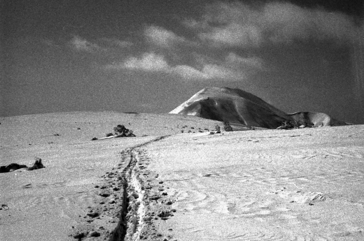e0100772_23203942.jpg