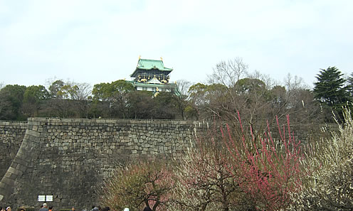 d0074578_10174595.jpg