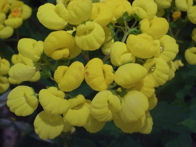 e0130986_1221870.jpg