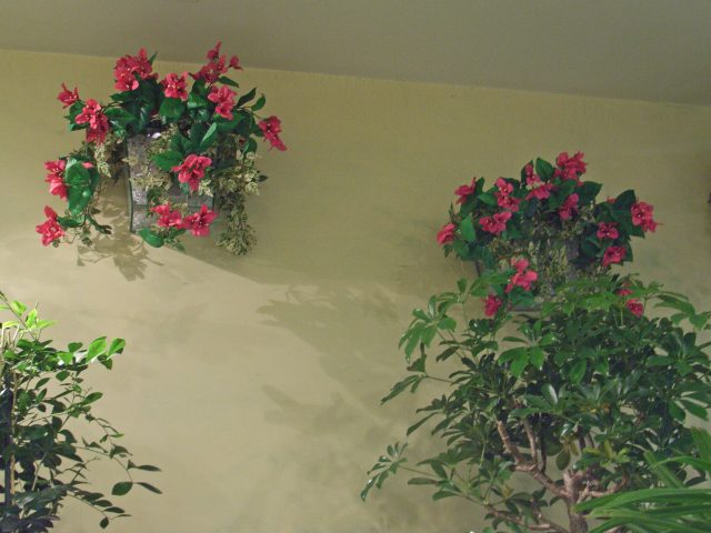e0130986_1224719.jpg