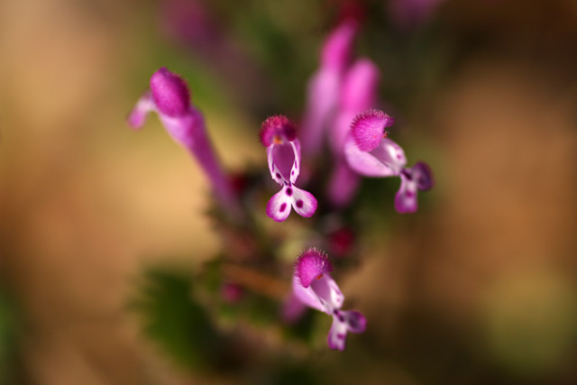 b0067789_02253100.jpg