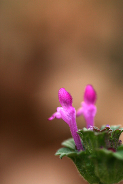 b0067789_0231735.jpg