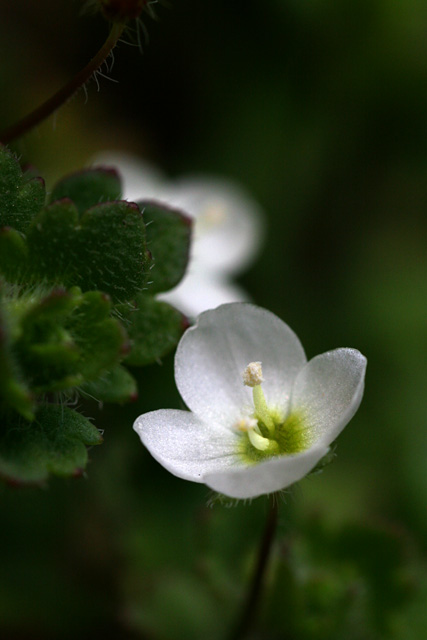 b0067789_213134100.jpg