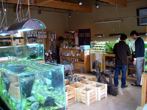a0049090_18413190.jpg