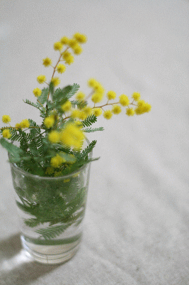 d0100192_21322731.gif