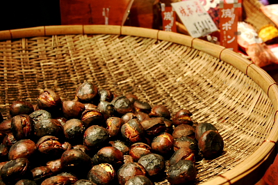 f0093592_16462010.jpg