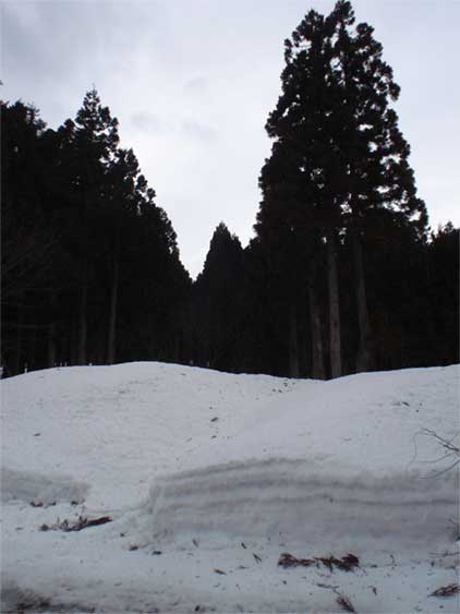 a0061599_7453246.jpg